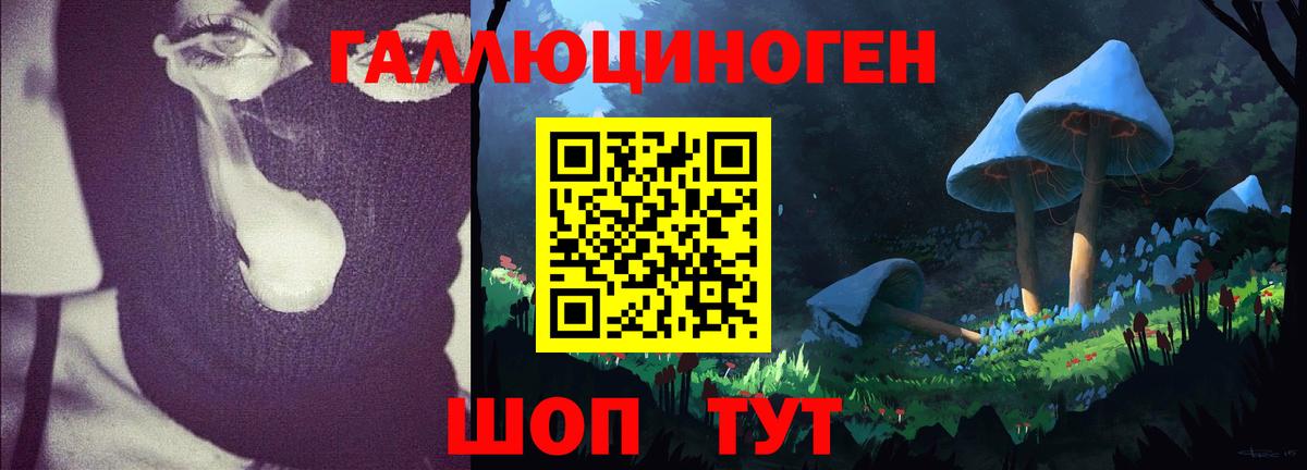 Курганинск  Псилоцибиновые грибы Psilocybine cubensis  Вход с VPN  Галлюциногенные грибы MAGIC MUSHROOMS 
