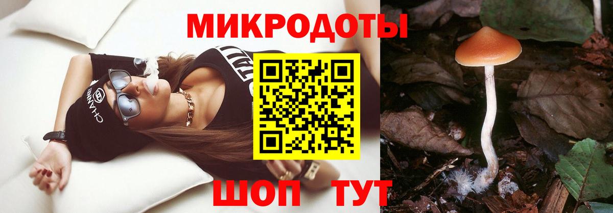 Псилоцибиновые грибы Magic Shrooms Курганинск